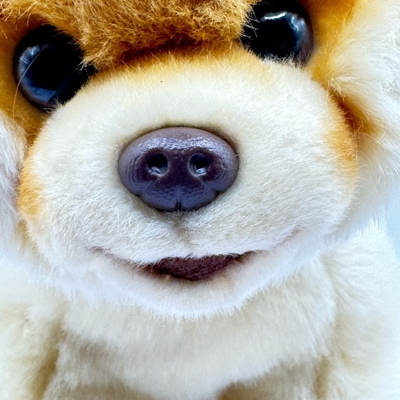 🧸 2/$18 | GUND ‘Boo’ Pomeranian Puppy Plush Stuffed Animal – 9″ Used Super Soft - Picture 4 of 15